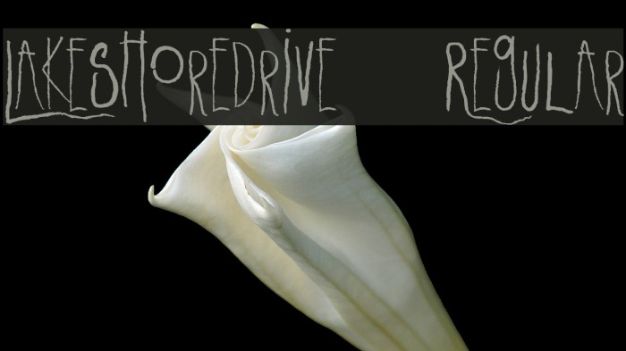 LakeshoreDrive-Regular Font examples