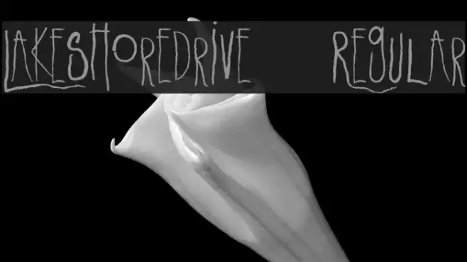 LakeshoreDrive-Regular Example 3