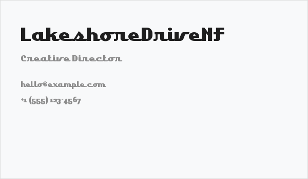 LakeshoreDriveNF Business Card