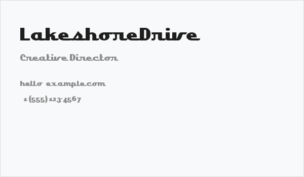 LakeshoreDrive Business Card