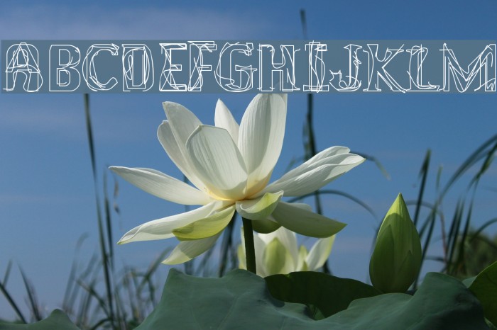 Lakestreet Font examples