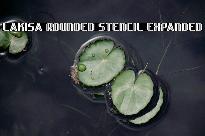 Lakisa Rounded Stencil Expanded Example 1