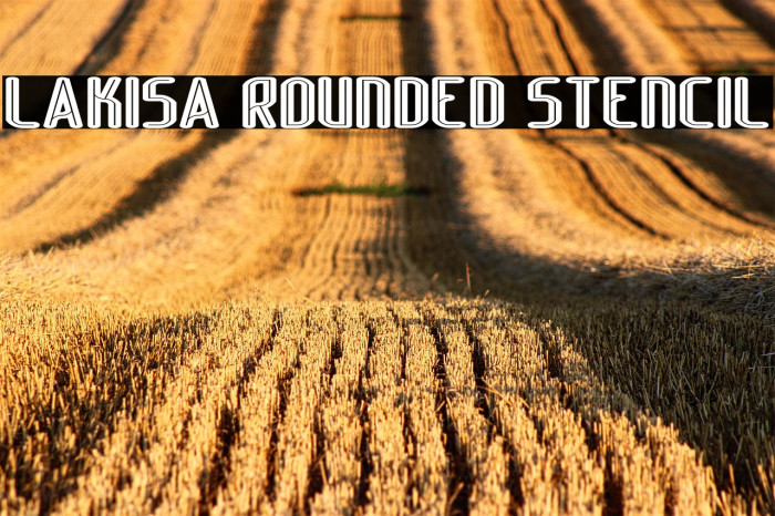 Lakisa Rounded Stencil Example 3