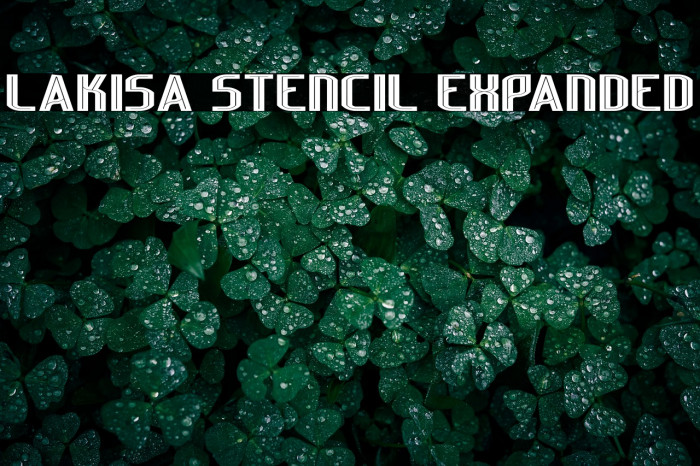 Lakisa Stencil Expanded Example 2