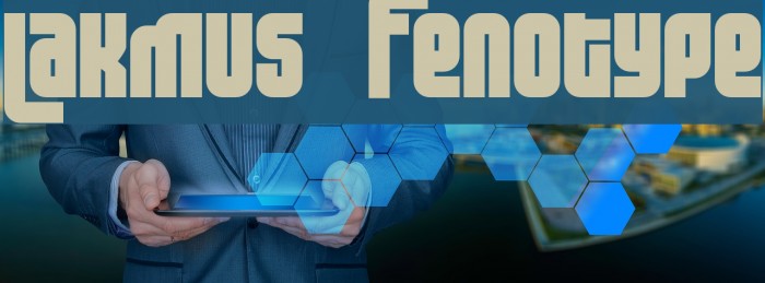 Lakmus Fenotype Font examples