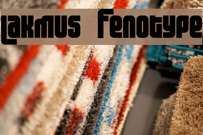 Lakmus Fenotype Font examples