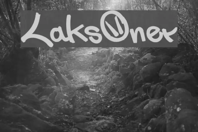 LaksOner Example 3