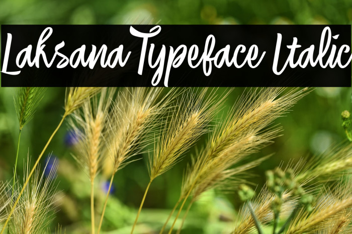 Laksana Typeface Italic Example 2