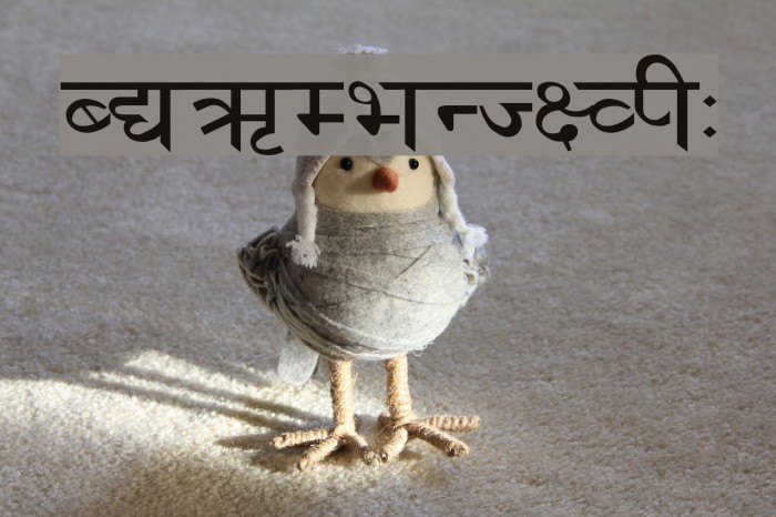 Lakshmi Regular Font examples