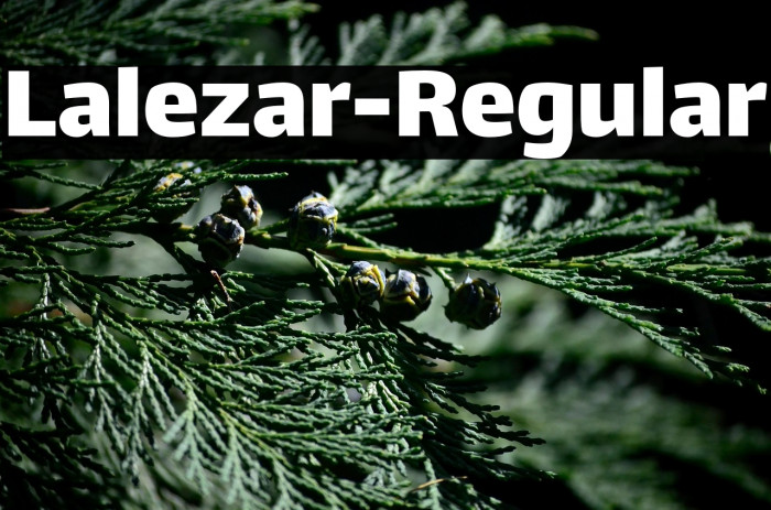 Lalezar-Regular Example 1