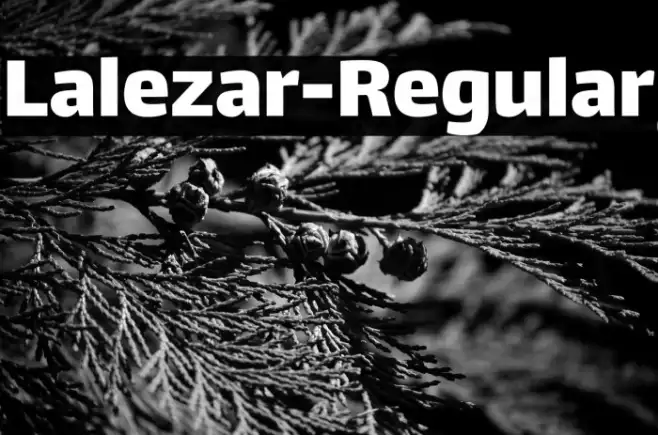 Lalezar-Regular Example 1
