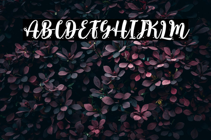 Lalisa Kiss - Personal Use Example 1