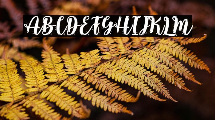 Lalisa Kiss - Personal Use Example 2