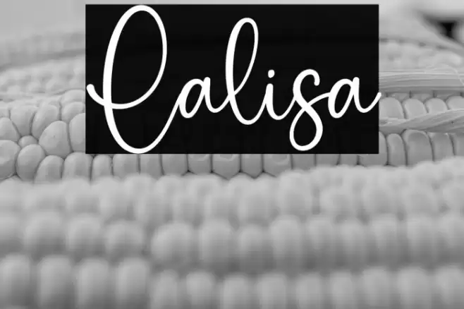 Lalisa Font examples