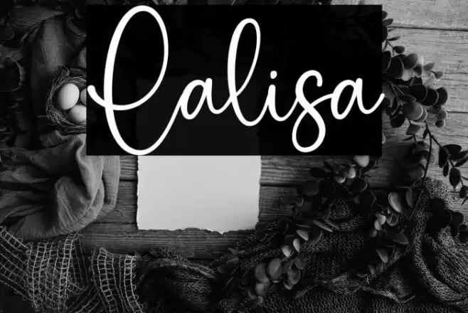 Lalisa Font examples