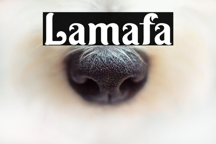 Lamafa Example 2