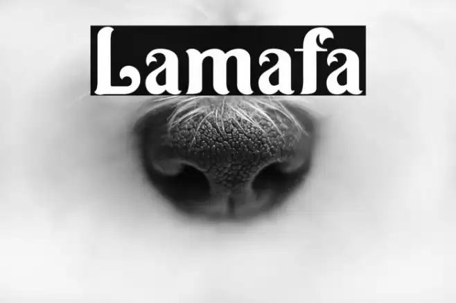 Lamafa Font examples