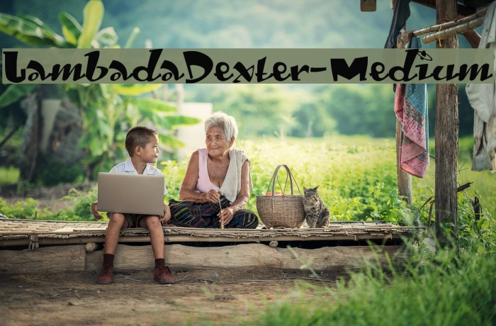 LambadaDexter-Medium Font examples