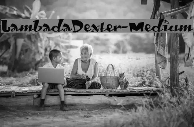 LambadaDexter-Medium Polices examples