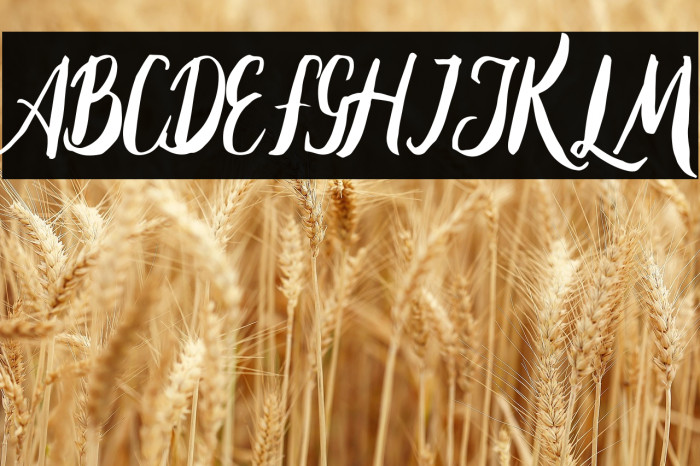 Lambaretta Example 3