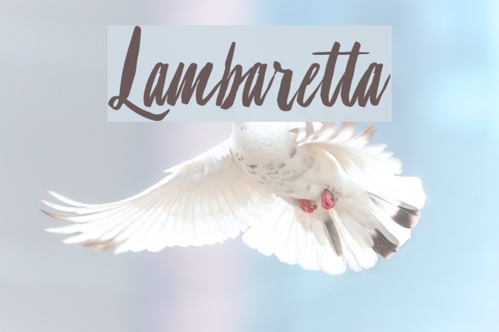 Lambaretta Font examples