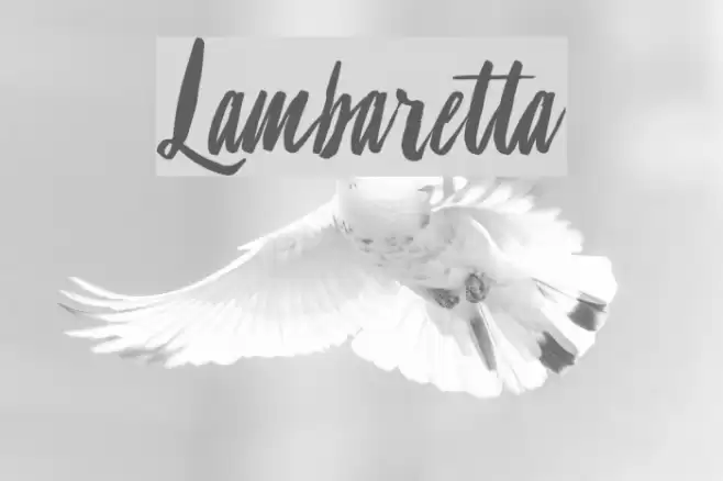 Lambaretta Font examples