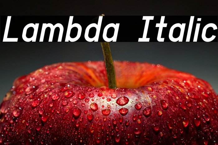 Lambda Italic Example 2