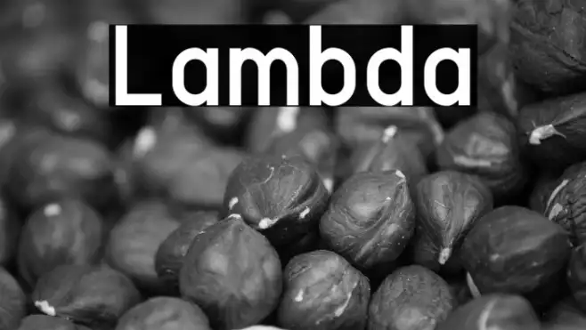 Lambda Example 1