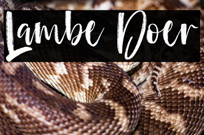 Lambe Doer Example 1