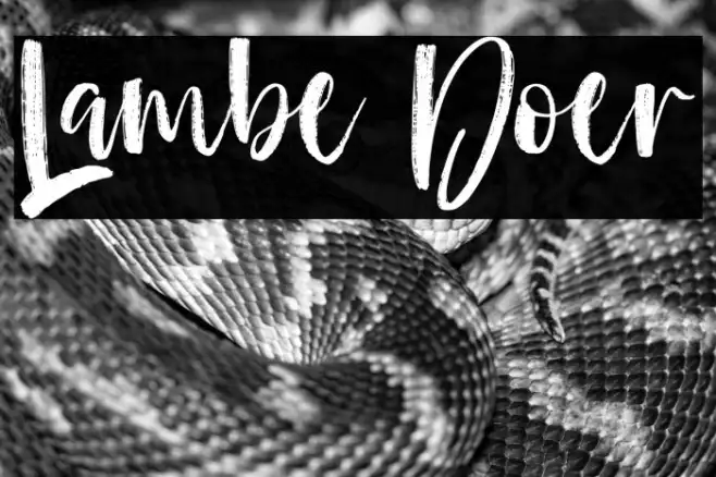 Lambe Doer Example 1