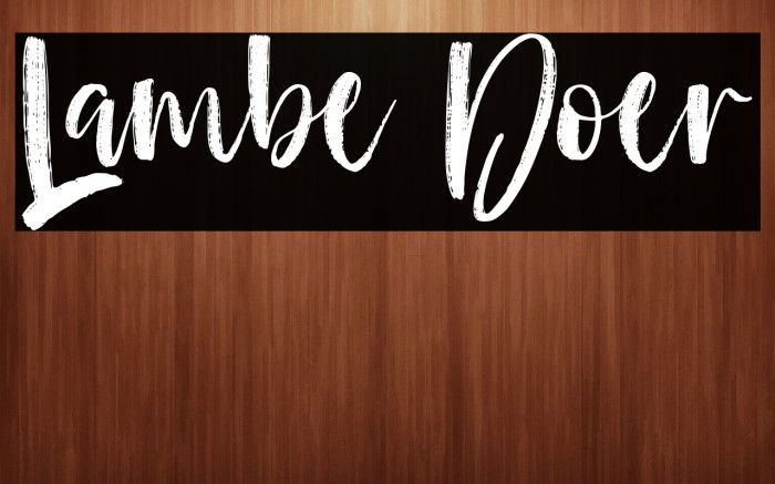 Lambe Doer Example 3