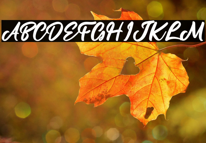 Lamberta Signature Example 2