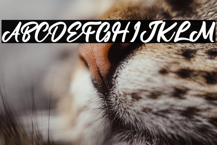 Lamberta Signature Example 3