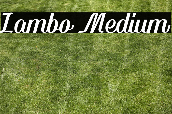 Lambo Medium Example 1