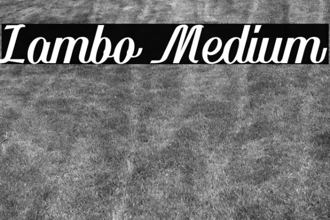 Lambo Medium Example 1
