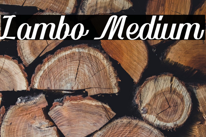 Lambo Medium Example 2