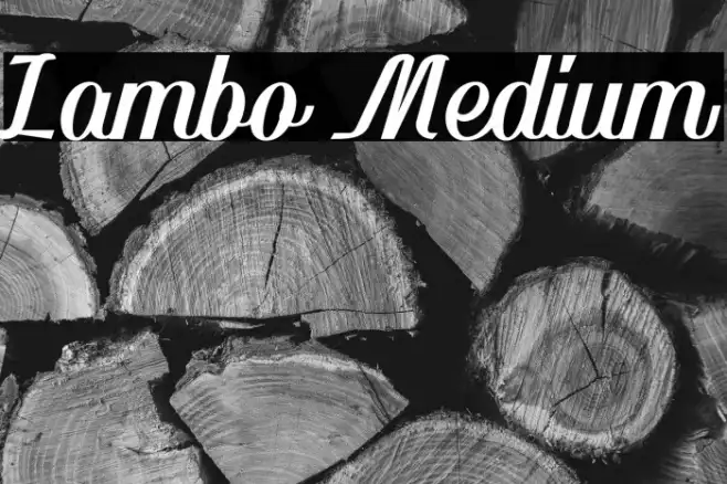 Lambo Medium Example 2