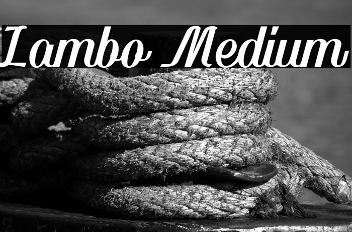 Lambo Medium Example 3