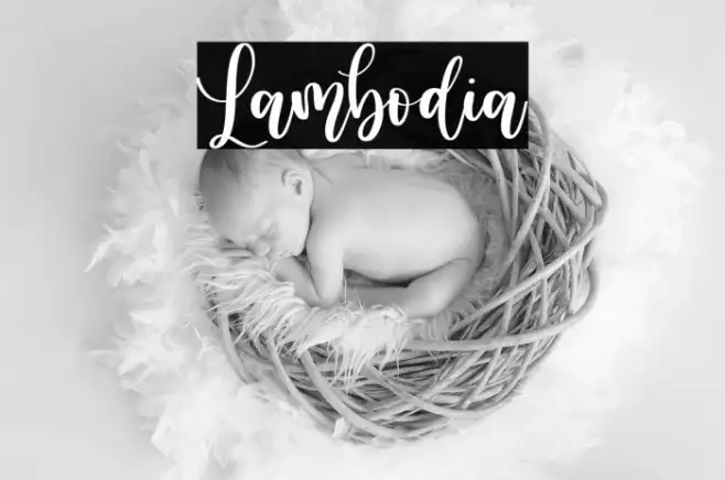 Lambodia Example 1