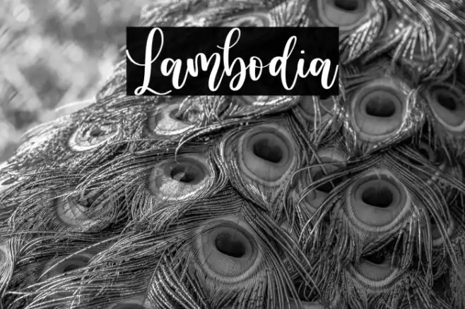 Lambodia Example 2