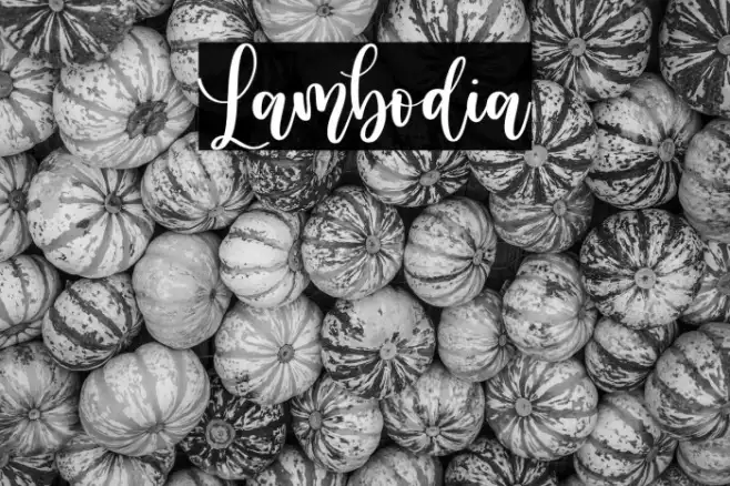 Lambodia Example 3