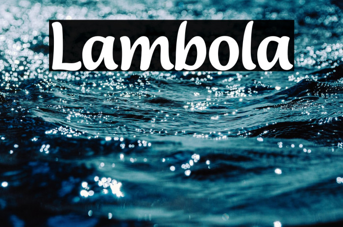 Lambola Example 1