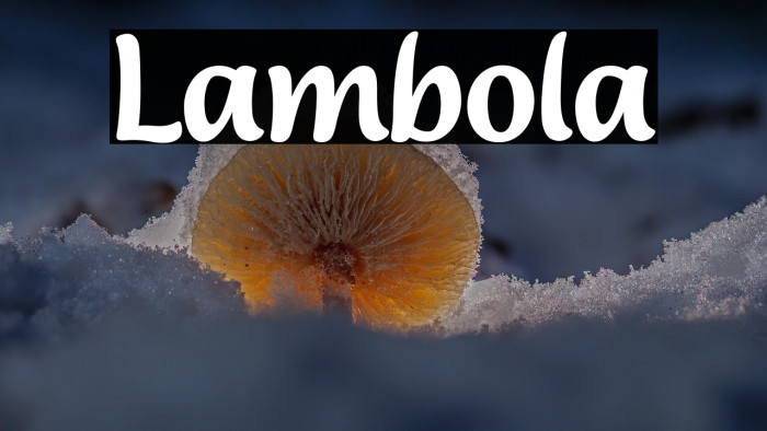 Lambola Example 3