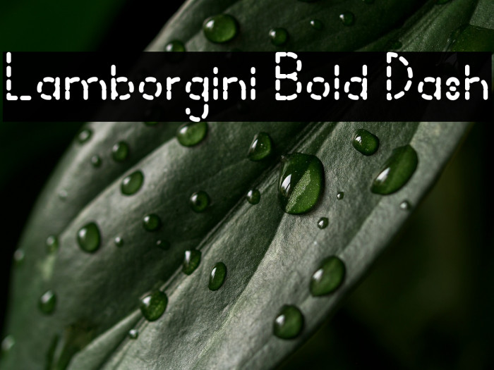Lamborgini Bold Dash Example 2