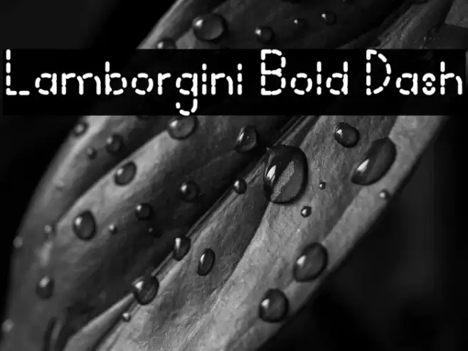 Lamborgini Bold Dash Font examples