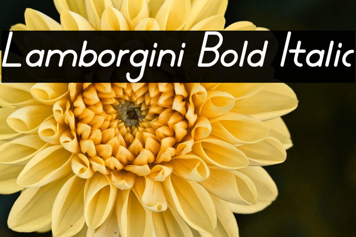Lamborgini Bold Italic Example 1