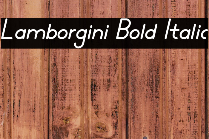 Lamborgini Bold Italic Example 2