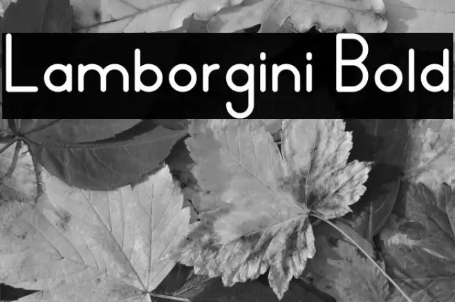 Lamborgini Bold Example 1