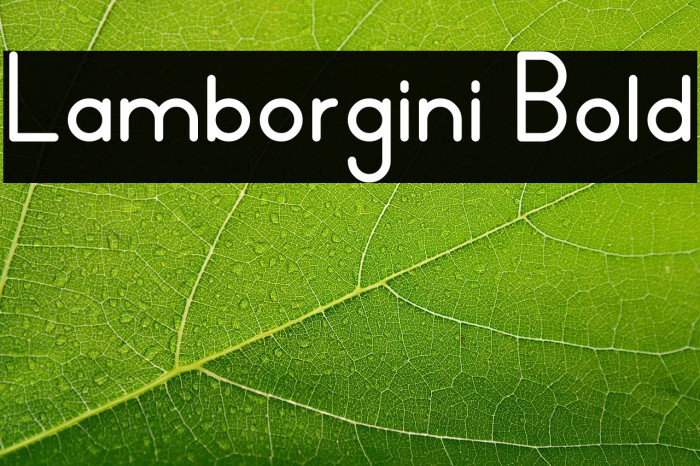 Lamborgini Bold Example 3