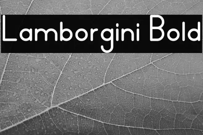 Lamborgini Bold Example 3